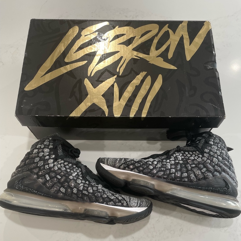 Nike lebron 17